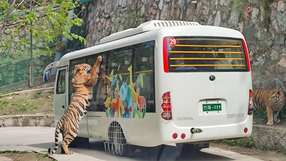 2024年“五一”假期旅游数据出炉，旅游市场呈现新趋势！